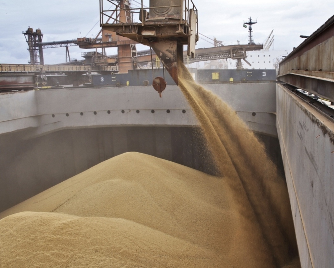 Аналитический центр «СовЭкон» оценил экспорт пшеницы из России в июле в 2 млн т, пишет Reuters. Неделей ранее прогноз вывоза был на уровне 2,1 млн т, в июле…