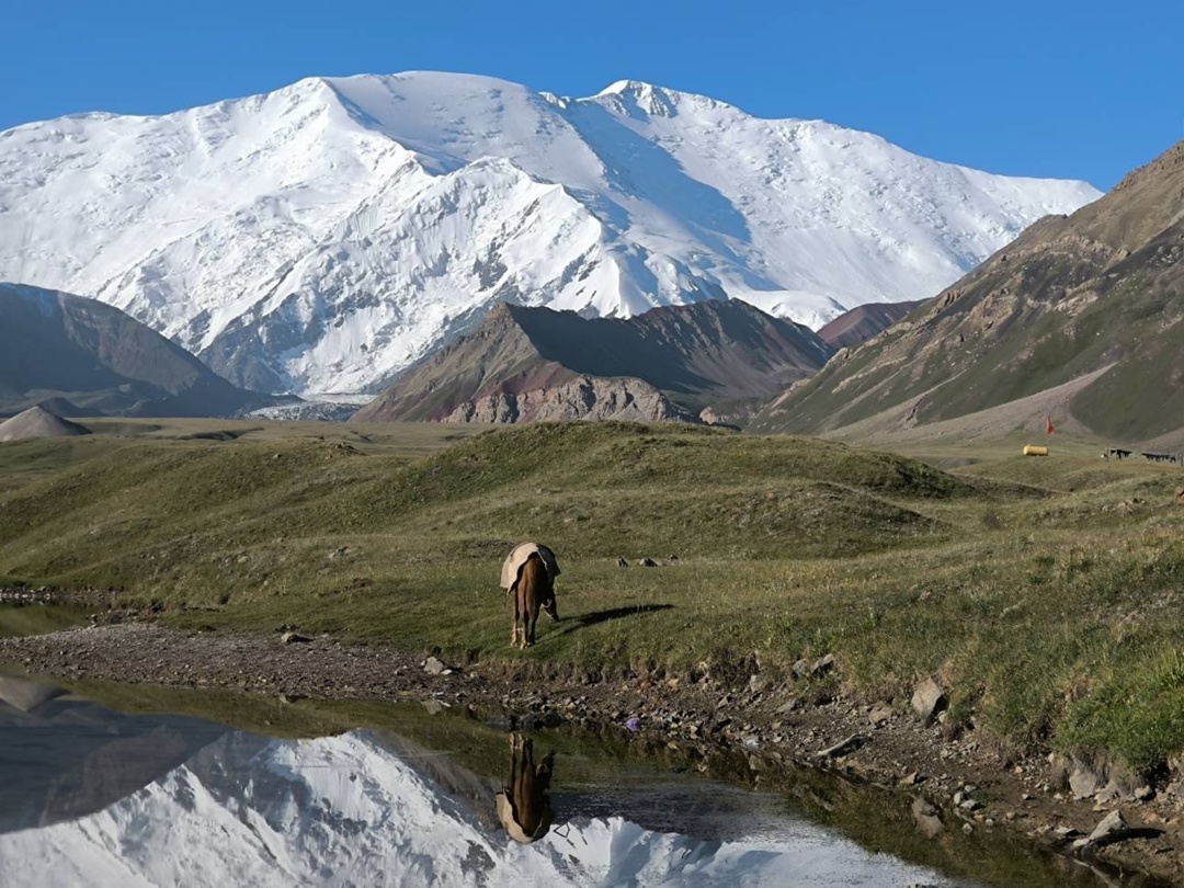Пик Ленина взят. Осмелились бы? 7134 метра. Температура -30. Голова трещит от высоты. Ноги отказываются идти. В команде - 5 человек. До вершины дошла одна.
