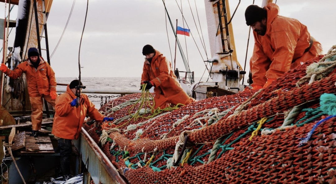 Объем добычи водных биоресурсов к 5 августа составил 3,09 млн т, сообщило Росрыболовство. Годом ранее к этой дате вылов был на уровне 3,11 млн т