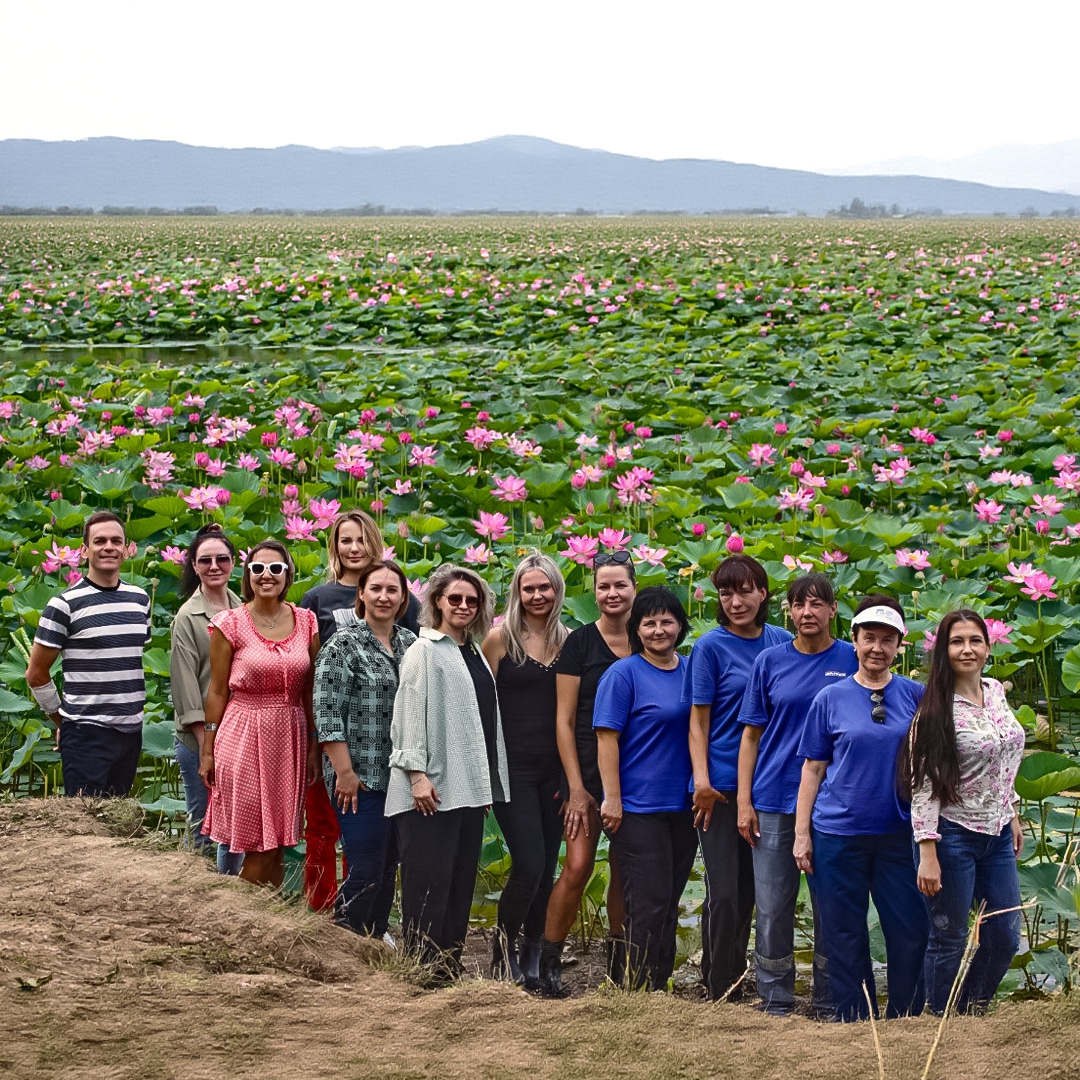 Лотос можно назвать символом стойкости. Его семена способны пролежать в земле сотни лет, дожидаясь подходящих условий