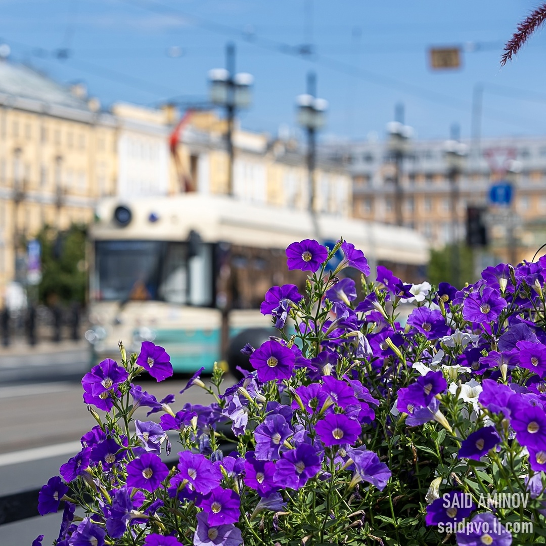 Пятигорск, Евпатория и Санкт-Петербург… Такие разные города, но у них есть нечто общее!