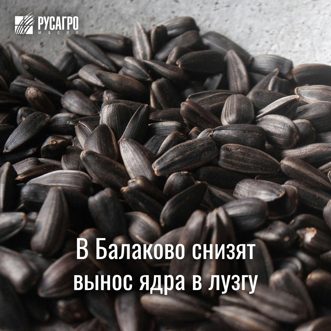 «Русагро Масло» постоянно работает над улучшением своих технологических процессов и повышает эффективность производства.