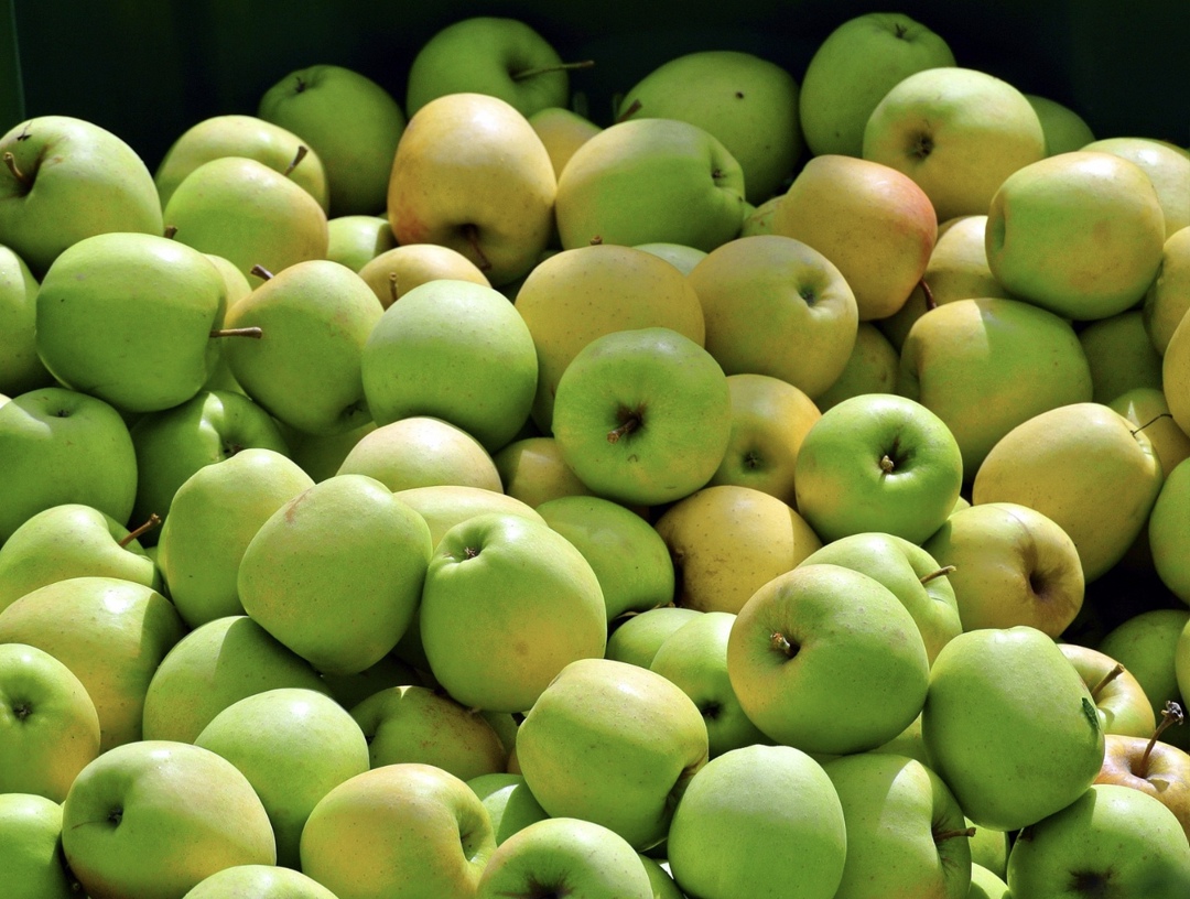 Яблоки для переработки дорожают второй год подряд: цены на новый урожай стартую с 25-30 руб./кг, в 2024-м они были на уровне 18-22 руб./кг, в 2023-м — 11…