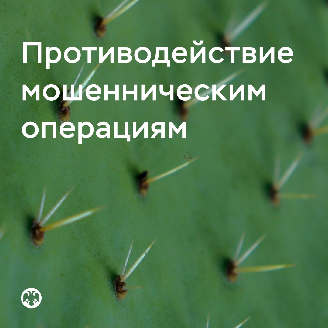 Противодействие мошенническим операциям
Итоги второго квартала
