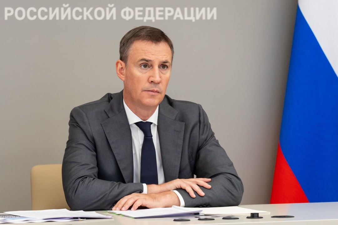 Вице-премьер Дмитрий Патрушев подвел итоги первого конкурса грантов Президентского фонда экологических и природоохранных проектов