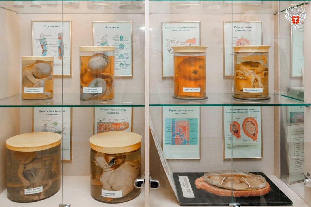 Заместитель министра здравоохранения РФ Андрей Плутницкий ознакомился с работой медицинских объектов в ЛНР