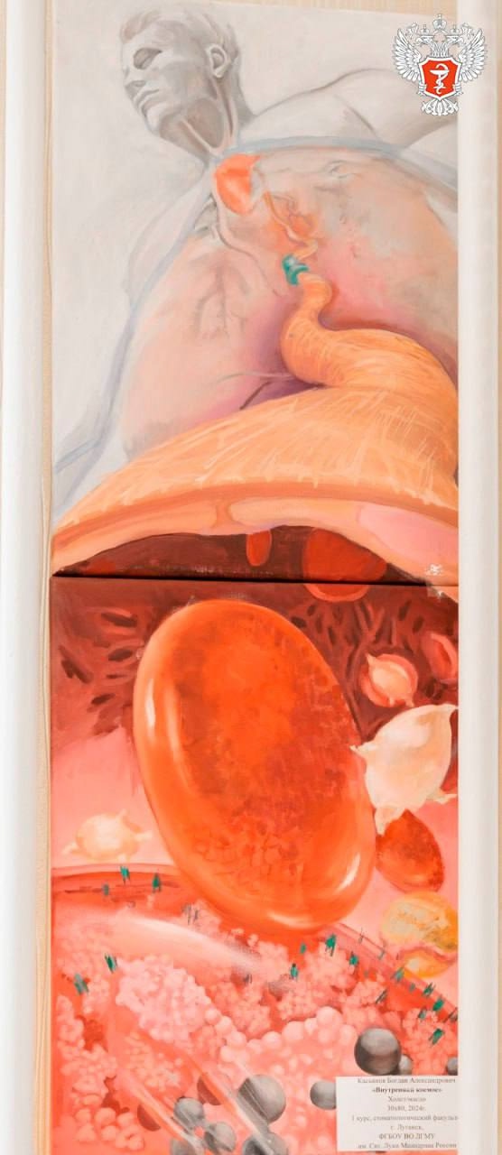 Заместитель министра здравоохранения РФ Андрей Плутницкий ознакомился с работой медицинских объектов в ЛНР