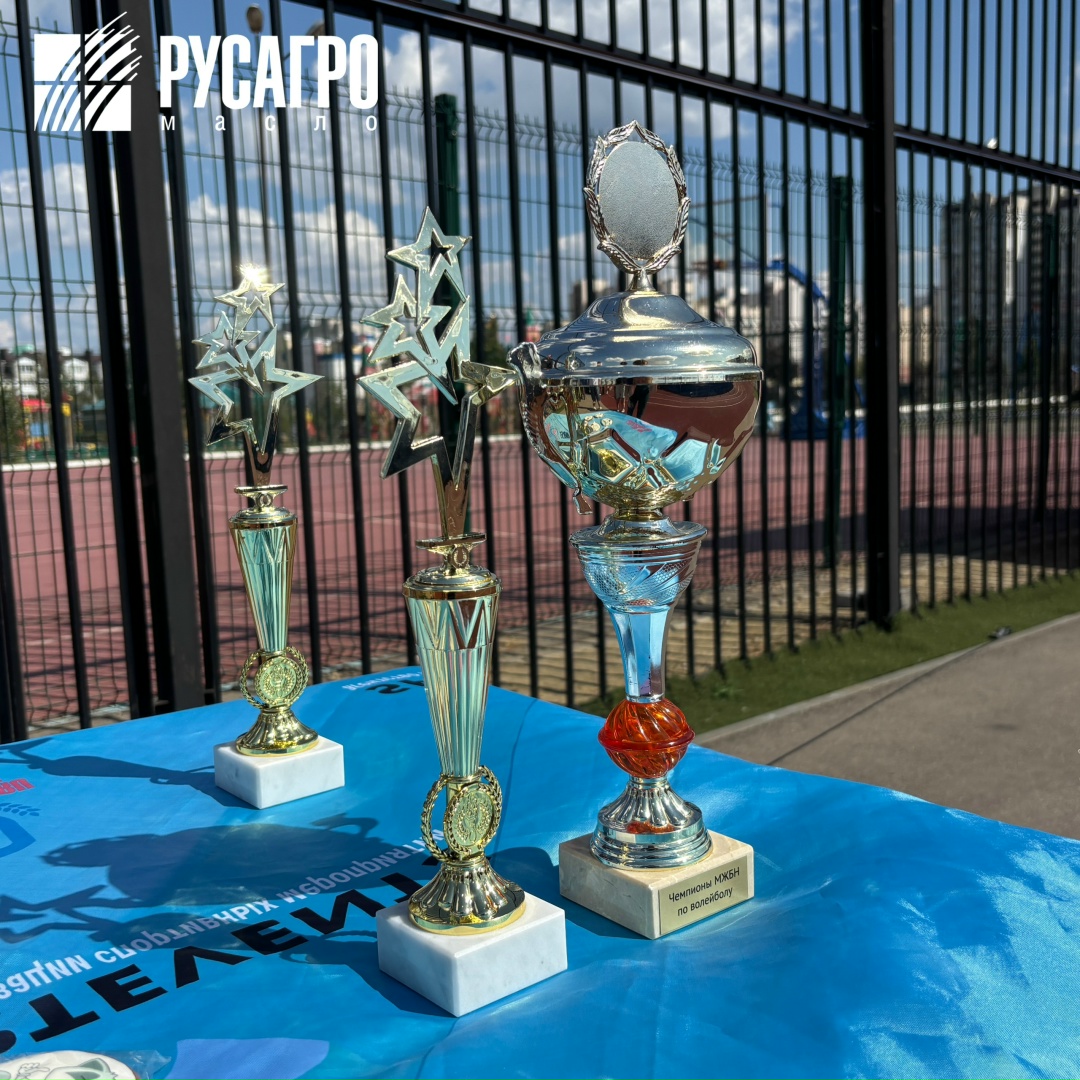 Отборочный турнир «Русагро Масло» по командным видам спорта завершен – встречаем финалистов!