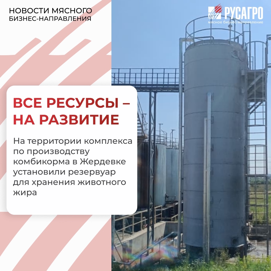 На территории комплекса по производству комбикорма Мясного бизнеса «Русагро» в Жердевке завершили работы по установке резервуарной емкости для хранения…