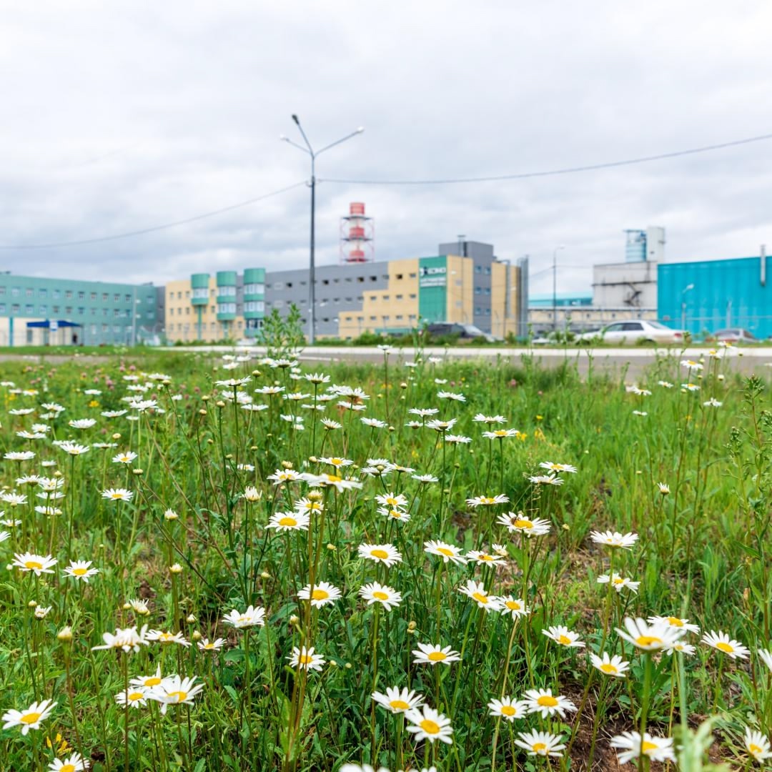 Сегодня чествуем Богучанский алюминиевый завод. Нашему самому зеленому в прямом и переносном смысле предприятию — 10 лет!