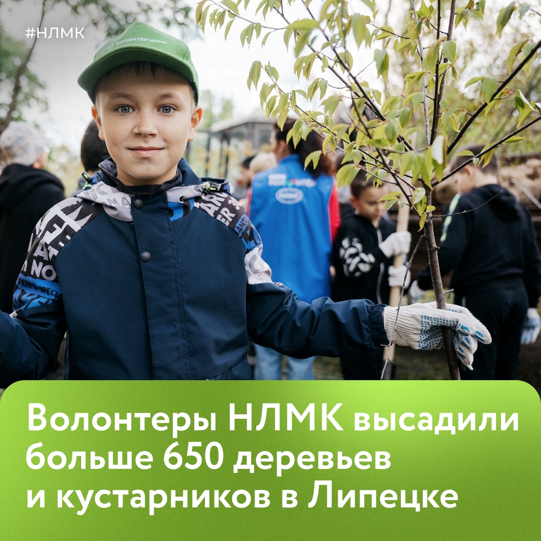 Волонтеры НЛМК помогли благоустроить 13 локаций в Липецке, где высадили 650 деревьев