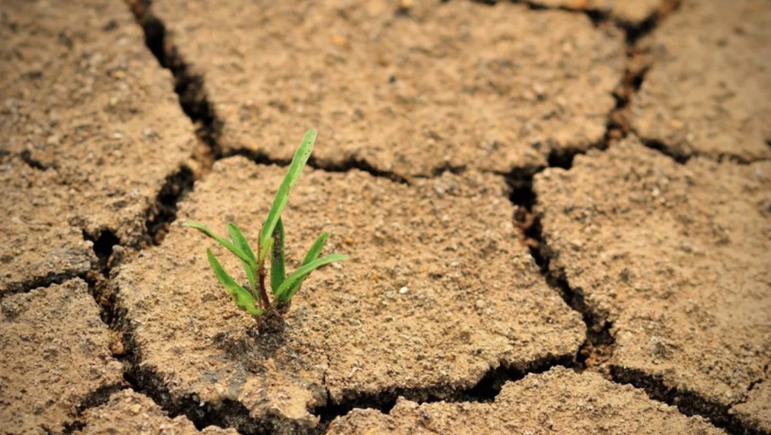 Процесс опустынивания земель в той или иной степени есть в 28 регионах страны, общая площадь земель, подверженных этому процессу, оценивается в 84 млн га,…