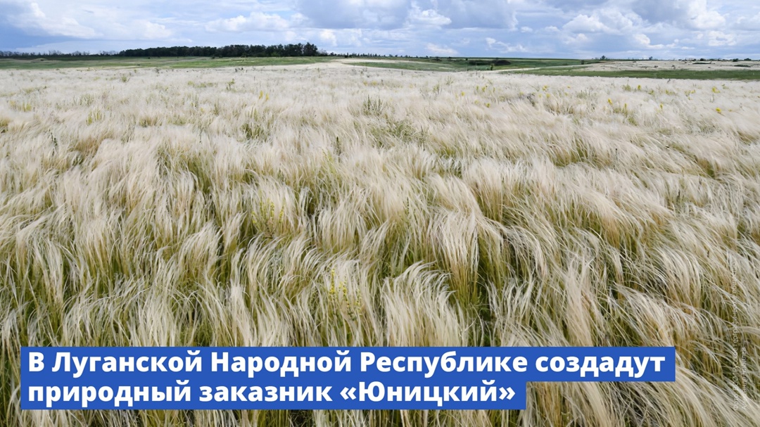 В Луганской Народной Республике создадут природный заказник «Юницкий»