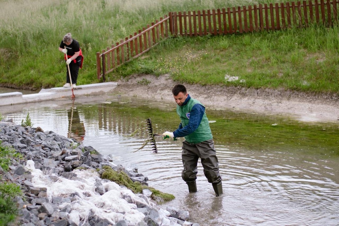 Дмитрий Чернышенко: За полгода мероприятия федерального проекта «Мы вместе» охватили более 19,8 млн участников
