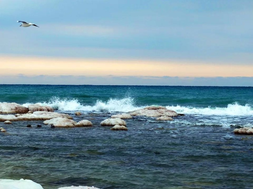 12 августа – Международный день Каспийского моря | Федеральное агентство по рыболовству