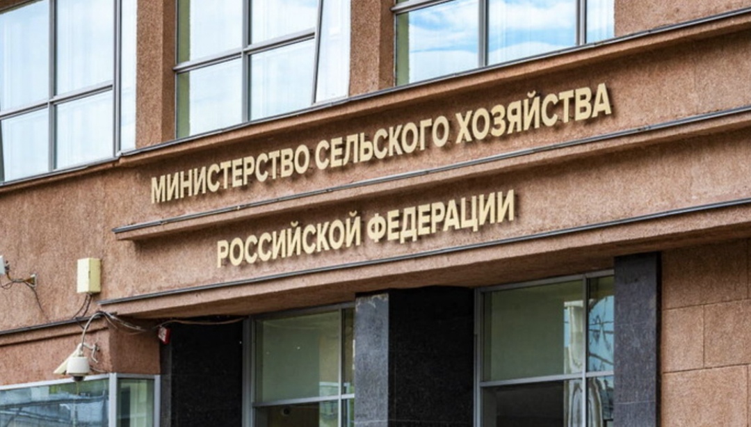 Минсельхоз внес изменения в порядок отбора сельхозпроизводителей для получения краткосрочных льготных кредитов в рамках соглашений о повышении…
