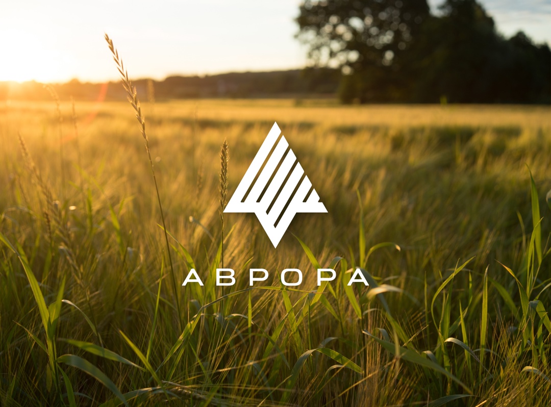 Аврора – это больше, чем ОС Это идея, которая объединяет нас. Разработчиков, которые ее создают. Государство и бизнес, которые ее внедряют