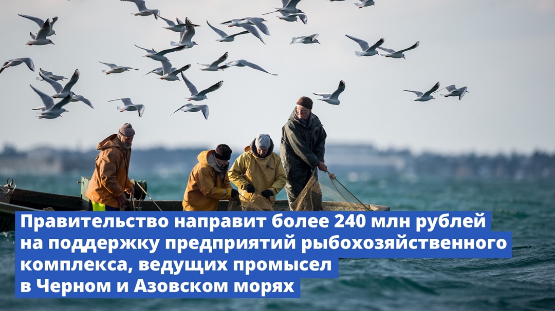 Правительство направит более 240 млн рублей на поддержку предприятий рыбохозяйственного комплекса, ведущих промысел в Черном и Азовском морях