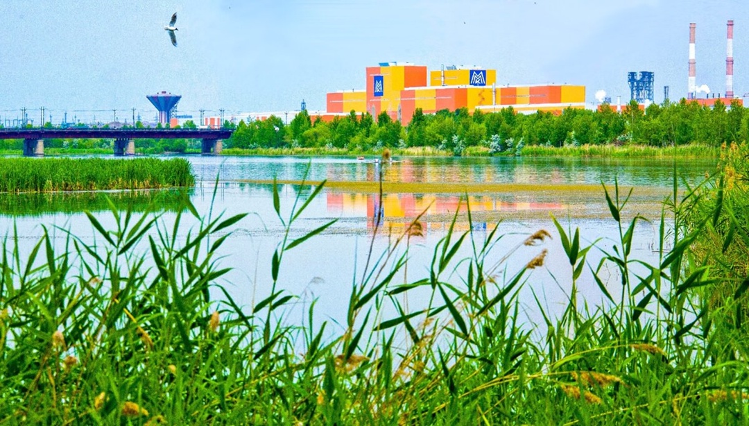 Ответить на вопросы! За последние семь лет Магнитогорский металлургический комбинат добился значительного сокращения уровня загрязнения воздуха в городе,…