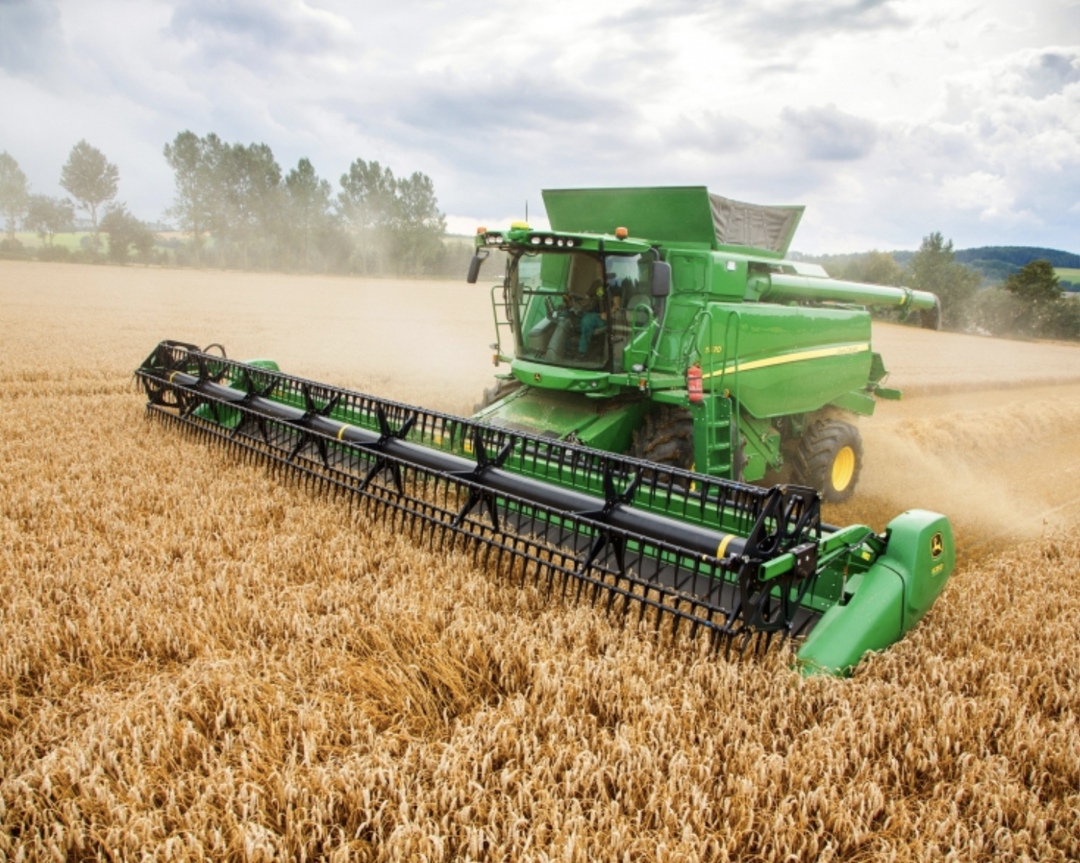 К 13 августа в России намолотили почти 75 млн т зерна – на 1,6 млн т больше, чем на ту же дату годом ранее, сообщил Минсельхоз