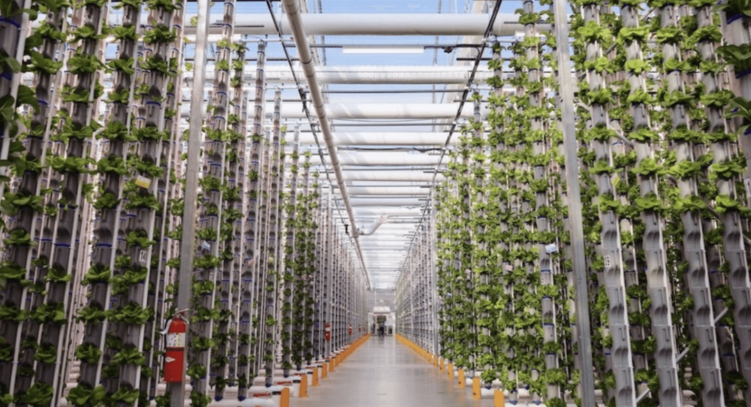 За прошлый год на российском венчурном рынке было заключено 165 сделок на сумму $178 млн. Из них агротех и FoodTech обеспечили 14 сделок на $7 млн