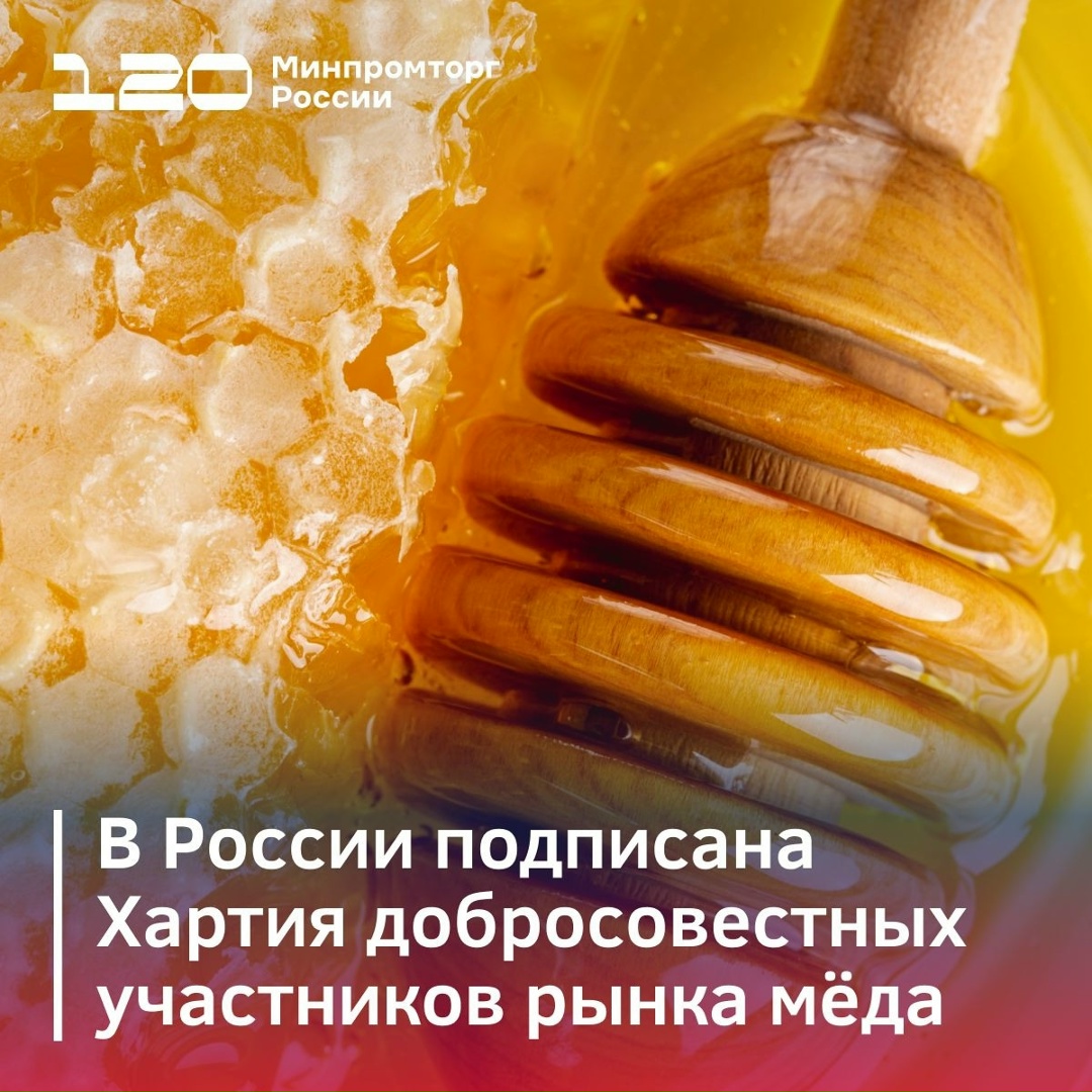 На страже настоящего мёда: в России подписана Хартия добросовестных участников рынка