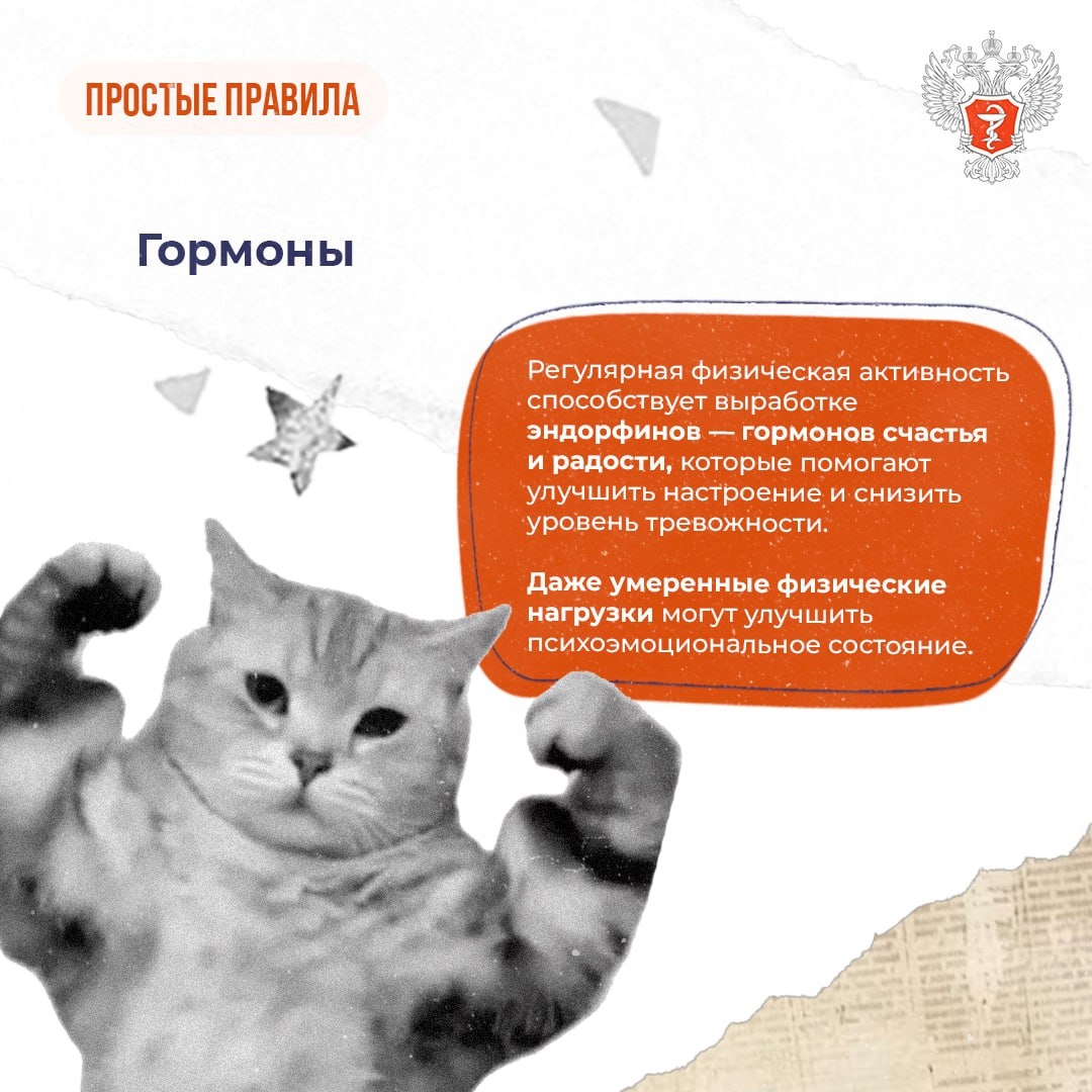 #ПростыеПравила: Как физические нагрузки влияют на ментальное здоровье