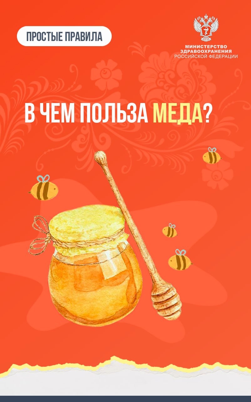 #ПростыеПравила: В чем польза меда