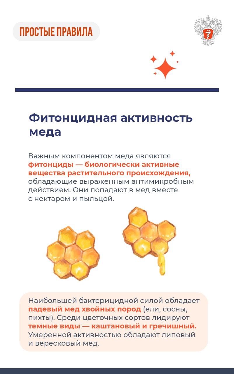 #ПростыеПравила: В чем польза меда