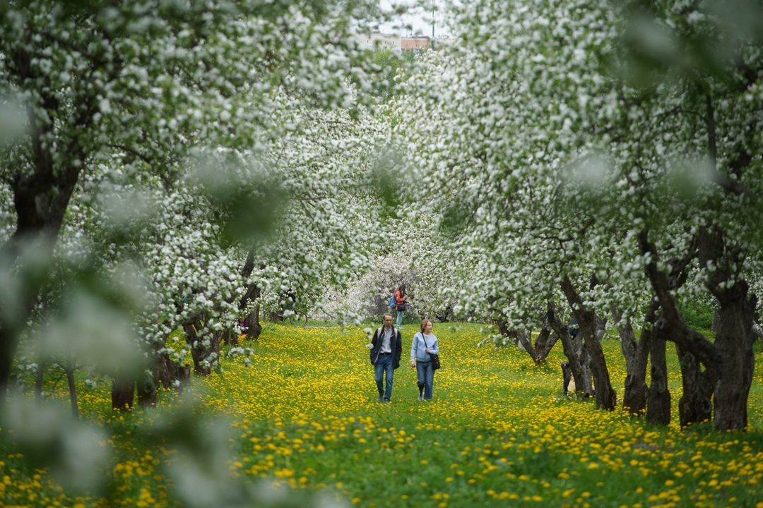 Дмитрий Чернышенко: За шесть месяцев туристы совершили 41,4 млн турпоездок по России
