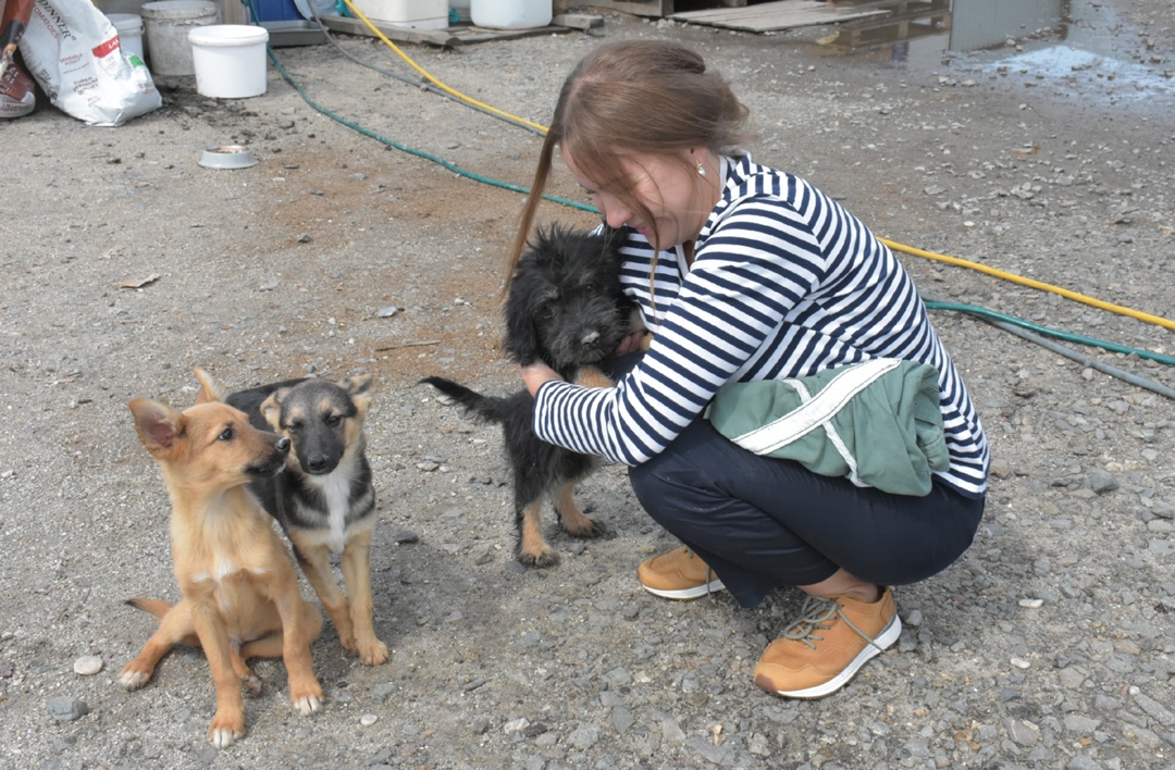 Волонтеры компании «Газпром переработка Благовещенск» совершают десятки добрых дел: помогают детям и пожилым людям, участвуют в экологических акциях и в…