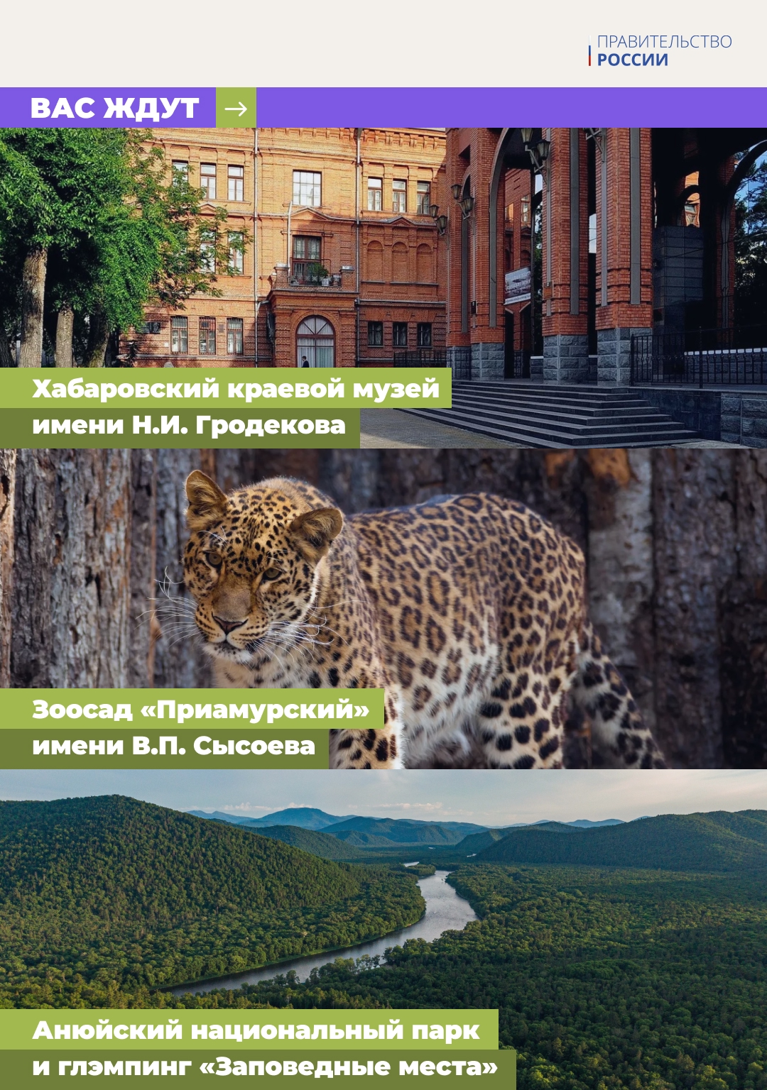 Увидеть грандиозные мосты, попробовать дары океана и познакомиться с культурой коренных народов – отправляемся в автопутешествие на Дальний Восток.