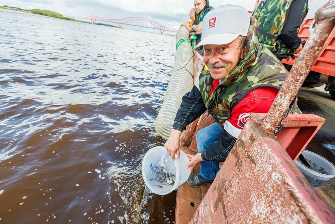 Царь-рыба в Иртыше Нефтяники ЛУКОЙЛа завершили третий этап масштабного зарыбления Обь-Иртышского бассейна, выпустив тысяч мальков краснокнижного сибирского…