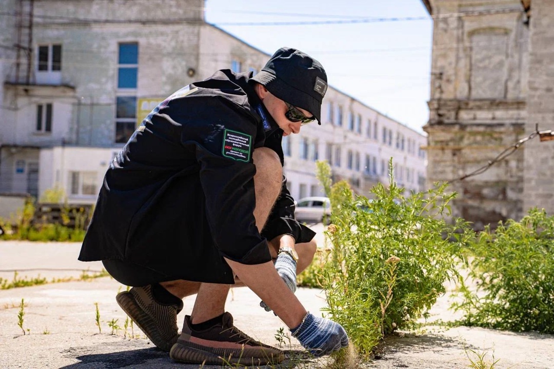 Молодые специалисты предложили проектные решения для развития Донбасса и Новороссии.