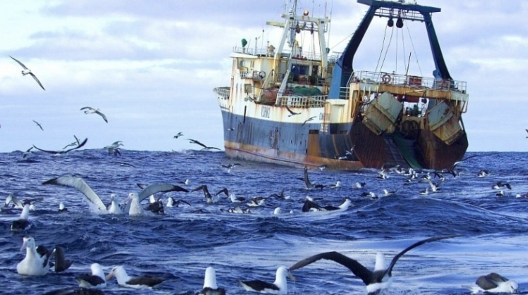 Ассоциация судовладельцев рыбопромыслового флота обратилась в Минсельхоз, указав на нецелесообразность введения новых ставок экосбора на упаковку, пишет…