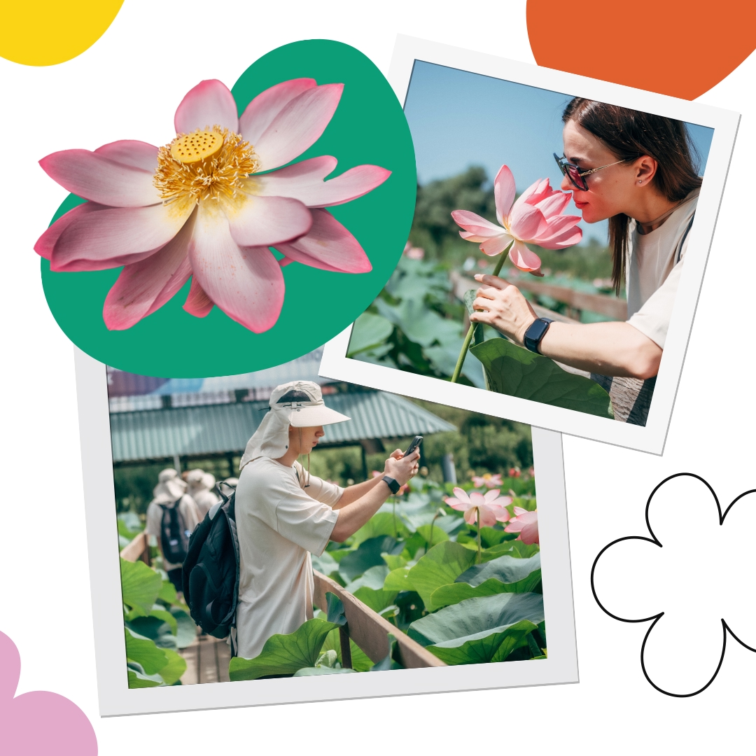 Астраханская область – край степей, солончаков, многочисленных волжских проток и цветущих лотосов. Сюда отправились победители экологического лагеря «Газпрома»