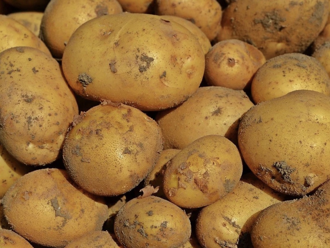 В этом сезоне импорт картофеля практически достиг рекорда и составил 850 тыс. т против примерно 250 тыс. т в 2024 году, рассказал «Агроинвестору»…