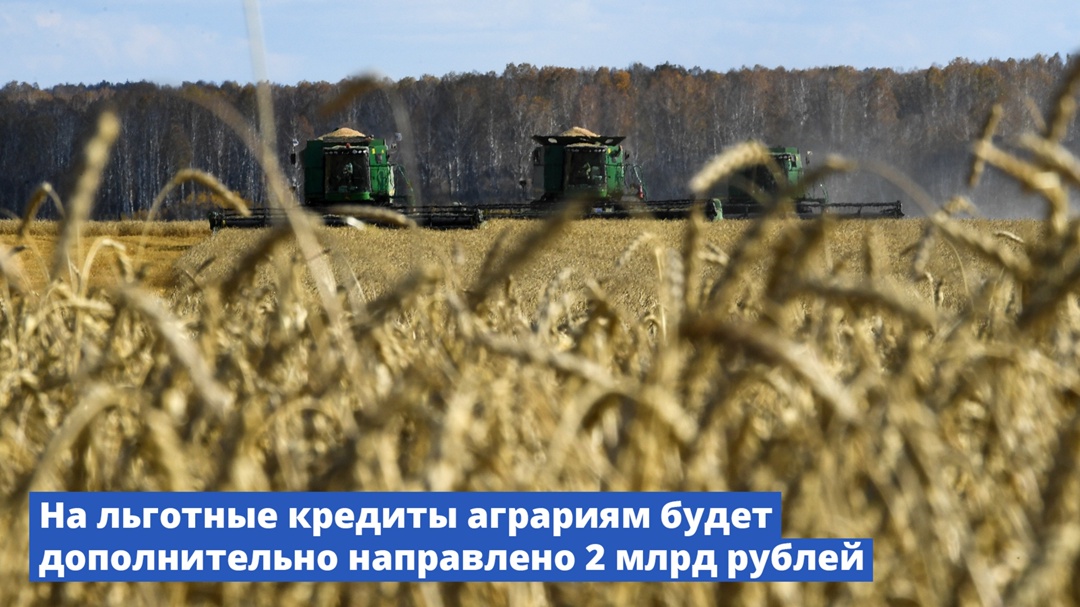 Правительство дополнительно направит 2 млрд рублей на субсидирование программы льготного кредитования аграриев.