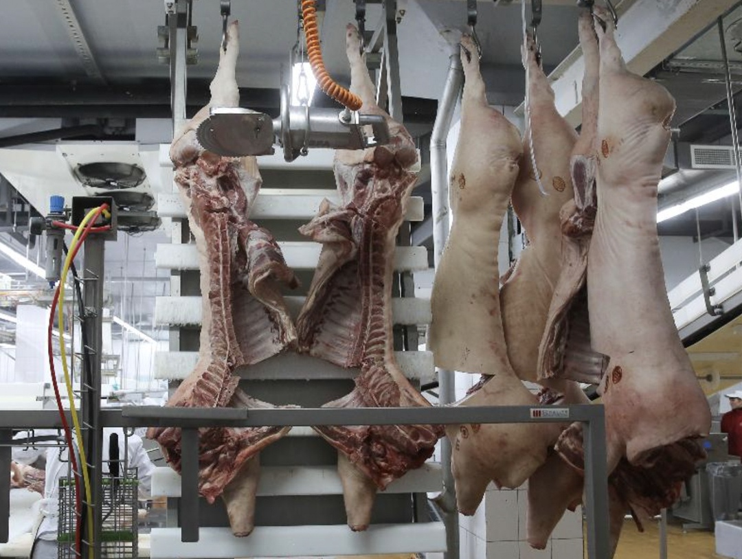 Экспорт продукции свиноводства в этом году идет в соответствии с прогнозами, которые Национальный союз свиноводов давал в конце 2024-го, рассказал…