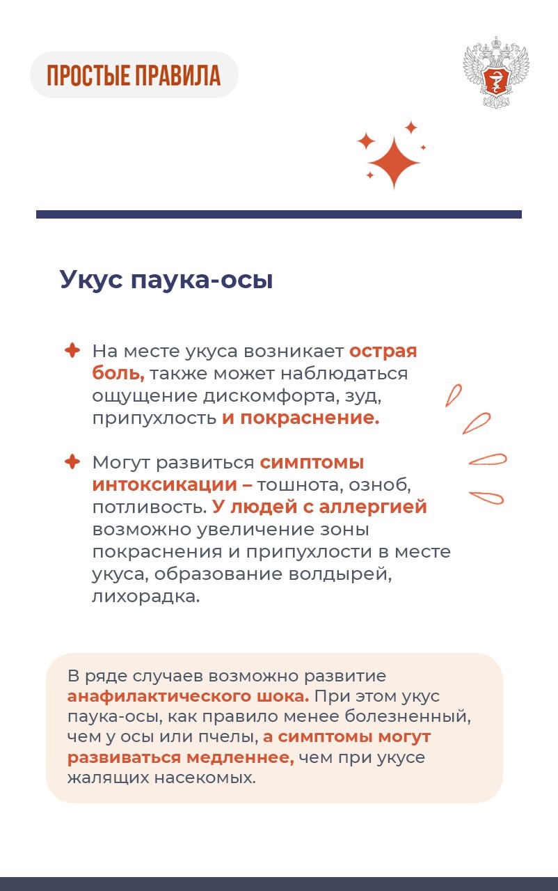 #ПростыеПравила: Что делать при укусе паука-осы