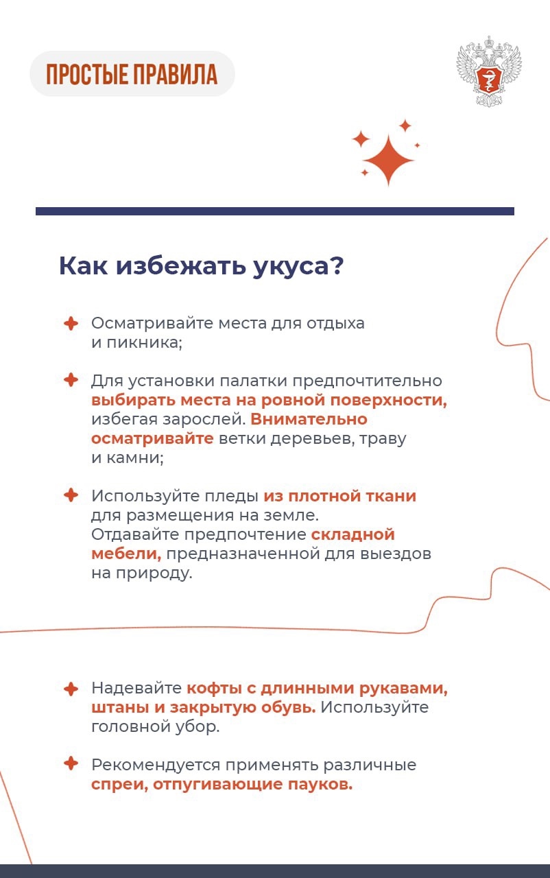 #ПростыеПравила: Что делать при укусе паука-осы