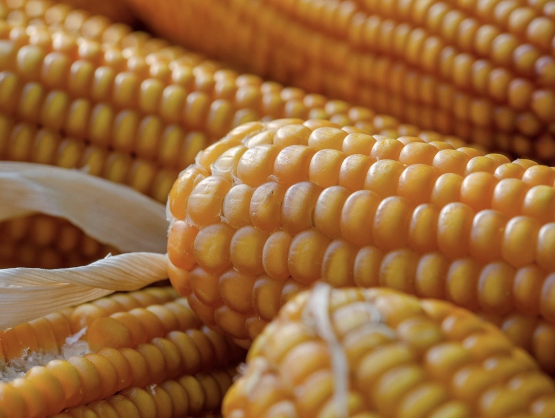 С 2019 года «Мираторг» инвестировал около 6,7 млрд руб