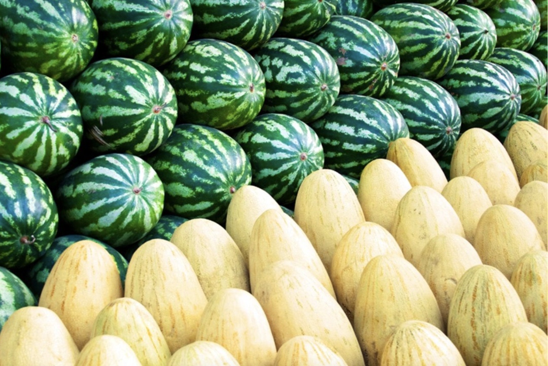 В этом году урожай арбузов и дынь может увеличиться на 100 тыс. т по сравнению с 2024-м и превысить 1,7 млн т, пишет РИА «Новости» со ссылкой на прогноз…