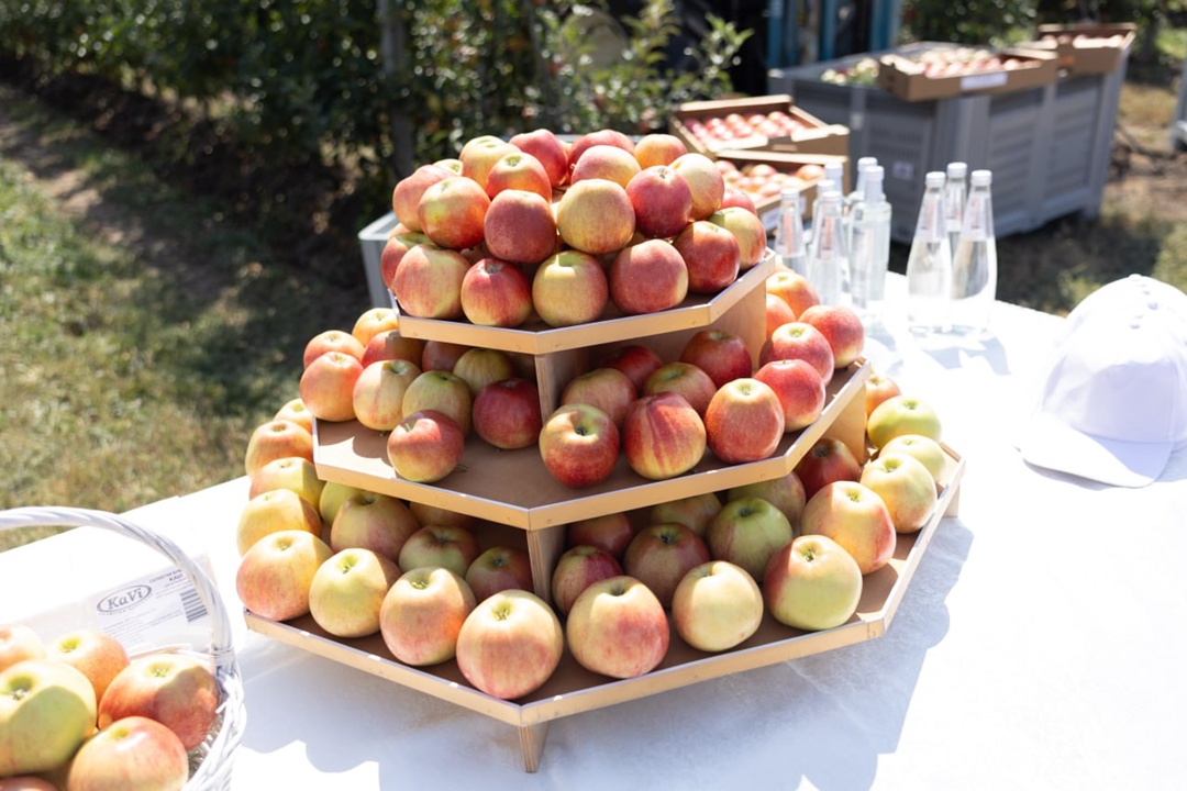 Дмитрий Патрушев совершил рабочую поездку в Ставропольский край.
