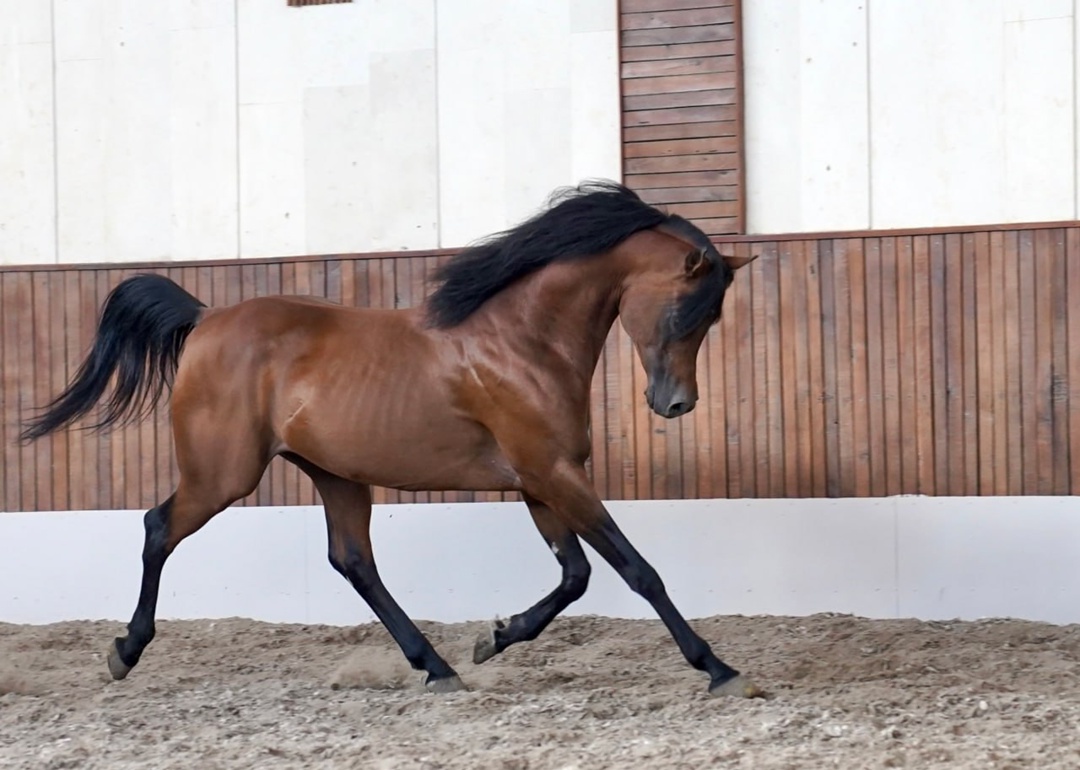 Дмитрий Патрушев совершил рабочую поездку в Ставропольский край.
