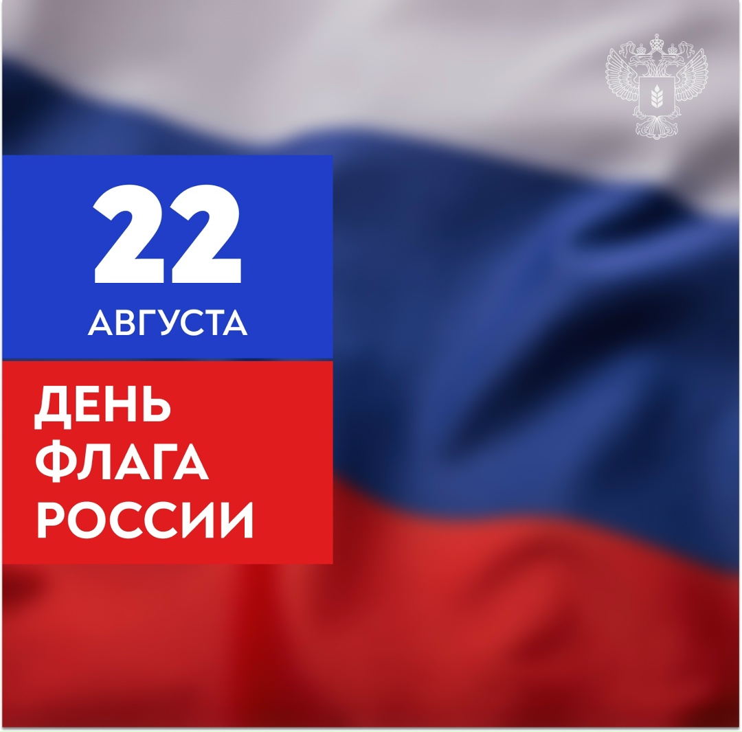 Сегодня – День Государственного флага России