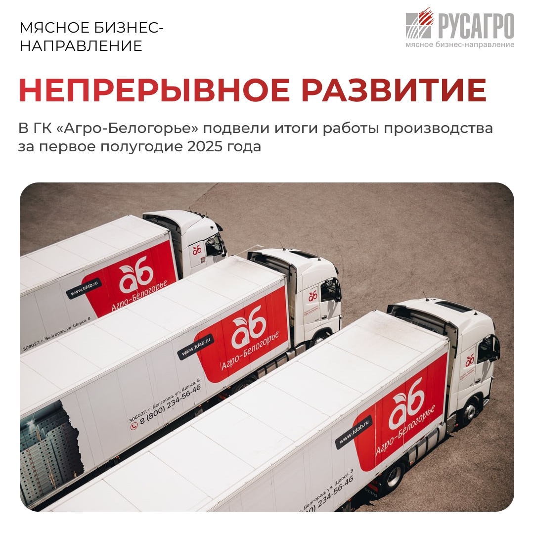Свиноводческий дивизион и торговый дом «Агро-Белогорье», входящие в состав Мясного бизнес-направления ГК «Русагро», подвели итоги работы за первое полугодие…