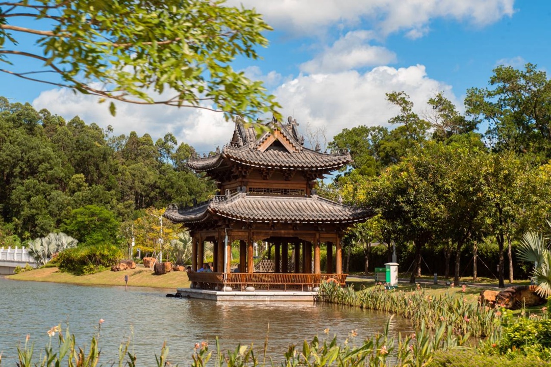 Валерий Фальков посетил Совместный университет МГУ им.М.В. Ломоносова и Пекинского политехнического института в Шэньчжэне.