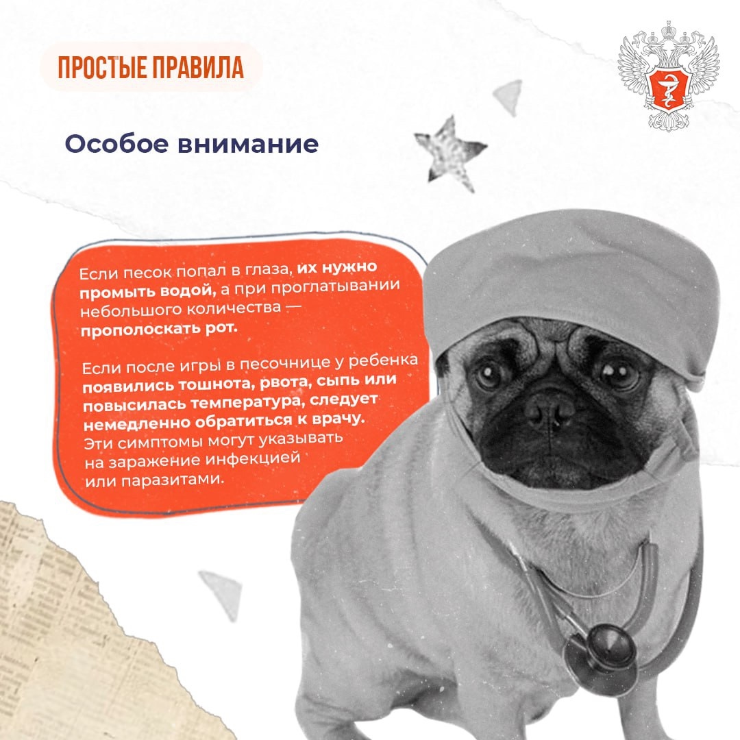 #ПростыеПравила: Чем опасны детские песочницы