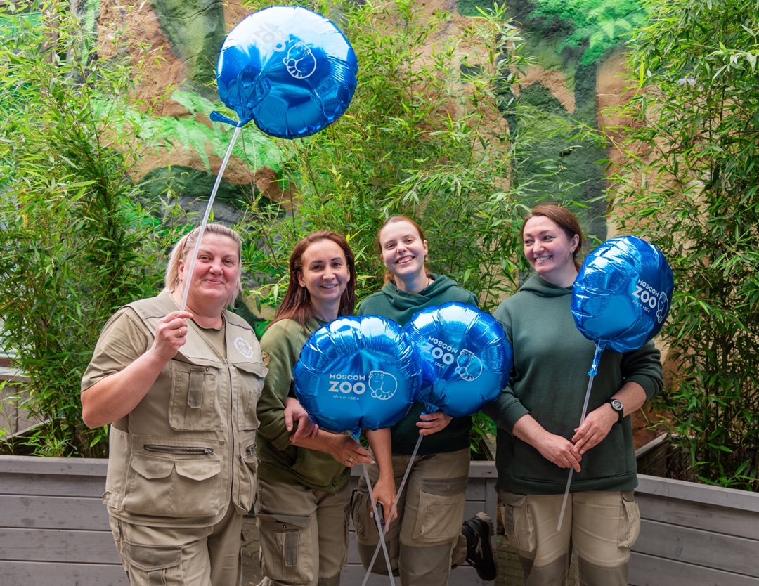 Давайте хором – как на Катюшины именины…